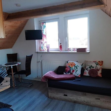 Apartamencik Rafi 20M2 سفينويتشي المظهر الخارجي الصورة