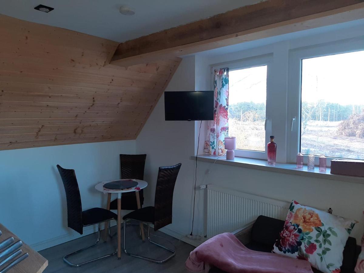 Apartamencik Rafi 20M2 سفينويتشي المظهر الخارجي الصورة