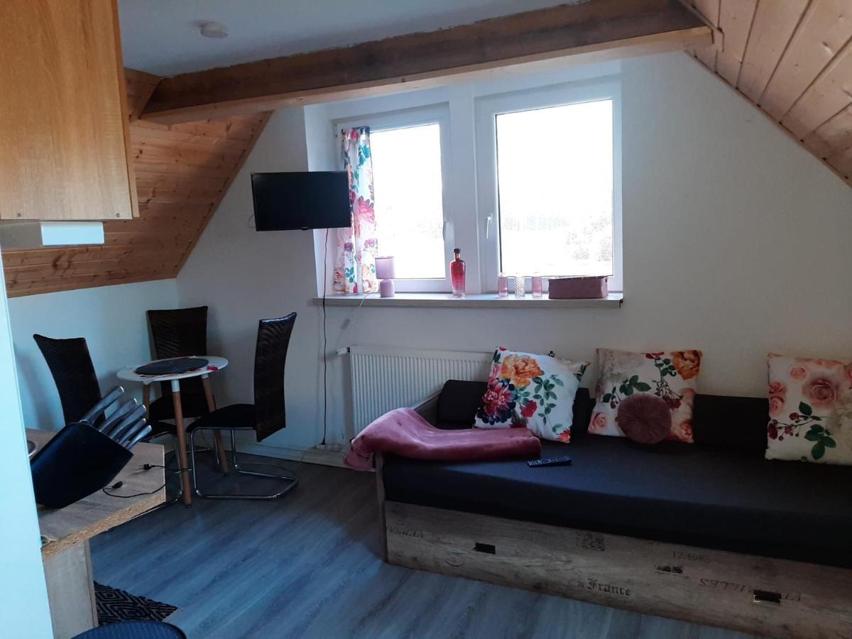 Apartamencik Rafi 20M2 سفينويتشي المظهر الخارجي الصورة